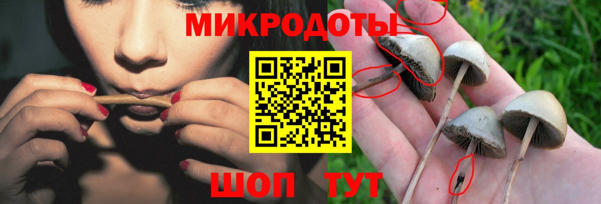 Галлюциногенные грибы Psilocybine cubensis  Вход с VPN  Саяногорск 